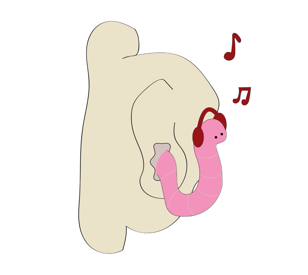 earworm = ear and worm